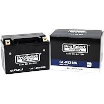 Amazon | ProSelect(プロセレクト) バイク GL-PSZ12S ナノ・ジェル